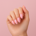 Soft Rose